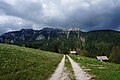 Mountain Coppolo