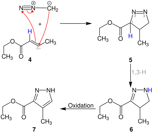 Pechmann-Pyrazol-Synthese am Beispiel eines Esters