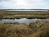 Hickling Broad