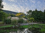 Wetland Park