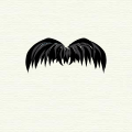 Bigote "Chevron".