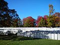 cemetery view