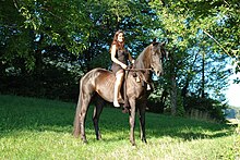 A woman riding a horse with out tack in the woods