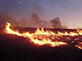 Image 27Lightning-sparked wildfires are frequent occurrences during the dry summer season in Nevada. (from Wildfire)