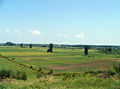 The Romanian Plain, in the southern part of Argeș County (the Pitești Plain)