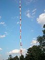 Der 304 m hohe Sendemast des NDR