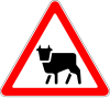 1.24 Cattle