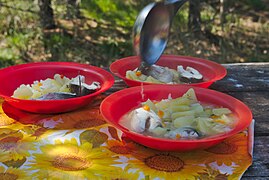 Buryat style fish soup