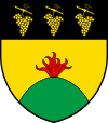 Wappen von Bernex