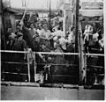 מעפילים עצורים בידי הבריטים מועברים באוניית גירוש למחנות המעצר בקפריסין.