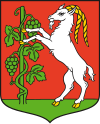 Coat of arms of Лүблин