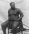 Image 9King Cetshwayo (ca. 1875) (from History of South Africa)