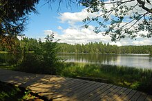 Étang de la Gruère (Etang de la Gruère)