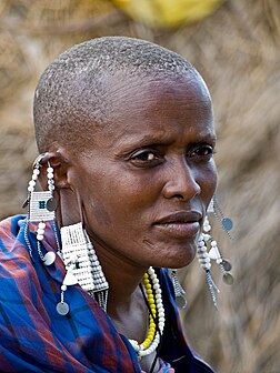 Femme maasaï de la plaine du Serengeti en Tanzanie, en habit et bijoux traditionnels. (définition réelle 2 736 × 3 648)