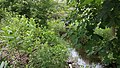 The creek before it flows under County Route 639