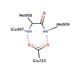 Helixes