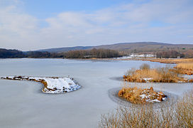 L'étang du Malsaucy, à Sermamagny.