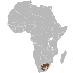 Território do gnu-de-cauda-branca
