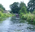 Hydrobotanische Untersuchungen an der Rurzyca