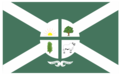 Bandeira de Dom Eliseu