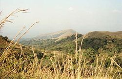 Paysage aux environs du mont Nimba.