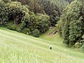 Blick von der Dammkrone Riveristalsperre