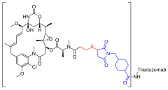 Trastuzumab emtanzyna