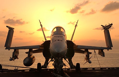 ABD Deniz Kuvvetleri'ne ait USS John C. Stennis (CVN-74) uçak gemisinin uçuş güvertesinde çatışma uçuş harekâtı bekleyen CVW-9'e bağlı F/A-18 Hornet. Sol (fotoğrafın sağ tarafı) kanadın ucunda bir adet AIM-9 Sidewinder ve altında bir adet AGM-88 HARM, sağ kanatında bir adet Paveway II, sağ kanat ve gövdesinde birer adet 330 gallonluk Sargent Fletcher yakıt tankı görülmektedir. CVN-74 ve CVW-9, Enduring Freedom Harekâtı'nı destekledi. (18 Aralık 2001) (Üreten: Jayme Pastoric)