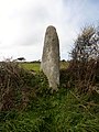 Le menhir de Luguénez.