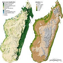 Deux cartes de Madagascar, montrant la couverture terrestre à gauche et la topographie à droite
