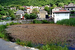 Skyline of Rakitovec