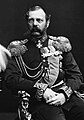 Image 21Photograph of Tsar Alexander II, 1878–81 (from Absolute monarchy)