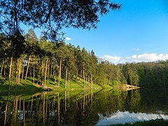 le parc de Trostianiets, classée[4],