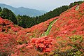 Tsutsujien, just south of the lodge