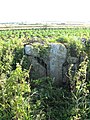 Fig. d36: a cross at Mayon Farm, Sennen