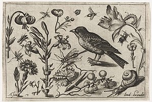 Bloemen, een slak en een vogel, Nicolaes de Bruyn, 1594