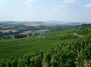 Mittleres Pfrimm­tal zwischen Harxheim und Albisheim; links der Saukopf/Gauberg (um 300 m) mit Immesheim am Hang, rechts das Hungerbergplateau (bis 303,2 m; Windkraftanlagen); im Hintergrund Donnersberg (687 m, mittig) und Kuhkopf (430 m, rechts) unmittelbar westlich Kirchheimbolandens im Nordpfälzer Bergland