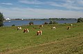 Panorama près de l'île de Maurik.