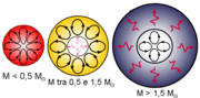 Schema sulle strutture interne di differenti tipi di stelle; le curve rappresentano la zona convettiva, le linee spezzate la zona radiativa.