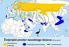 Življenjski prostor navadnega žerjava Rumeno : gnezdilno območje Modro : območje prezimovanja Zelena črta : preletna pot