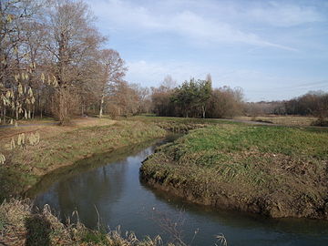 L'Ardanavy au niveau d'Urcuit (rive gauche).