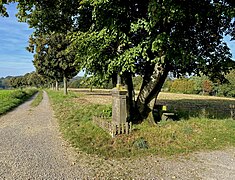 Wegekreuz westl. Johannesberg auf der Bergerhöhe