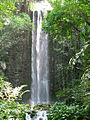 Wasserfall im Jurong Bird Park