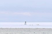 Abandoned Russian polar station Izluchina (Northeast coast of Komsomolets Island; 81°N, 96°33’E).