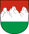 Wappen von Riemenstalden