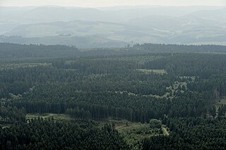 Blick auf den Plackwald mit dem Lörmecke-Turm (mittig rechts)