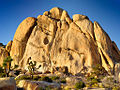 Image 40 Joshua Tree National Park, United States (from Portal:Climbing/Popular climbing areas)