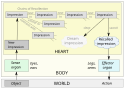 Senses, perception, memory, dreams, action in Aristotle's biology