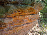 Early Triassic sandstone (Buntsandstein) near Stadtroda, Germany