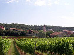 Skyline of Alonte